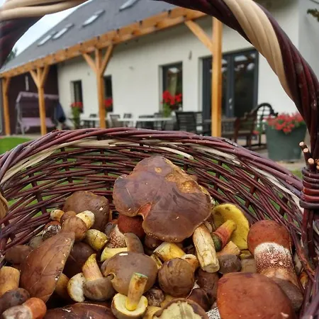 Les Kralovstvi 아파트 Nemojov