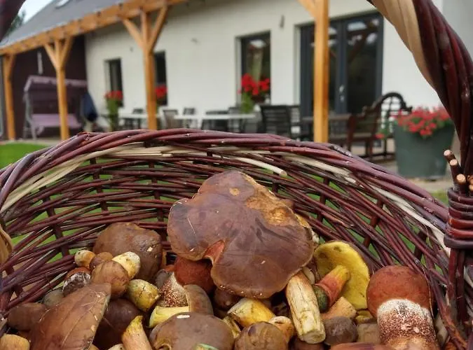 Les Kralovstvi Lägenhet Nemojov